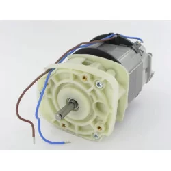 Moteur électrique 2200watt m/rem TCS