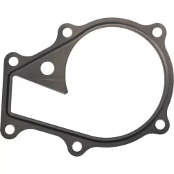 Joint de pompe à eau D1105