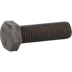 Kit de vis de lames p/ Hayter (4x)