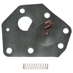 Membrane