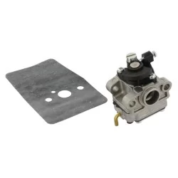 Ensemble de carburateur (c3m)
