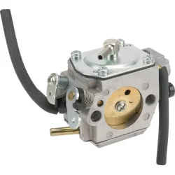 Carburateur Wt-786