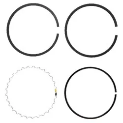Segments Standard