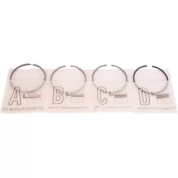 Piston ring kit. std