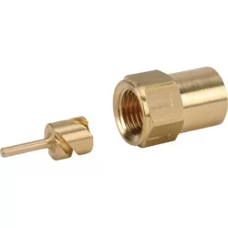 Buse 60° 1 dorée acier inoxydable Birchmeier