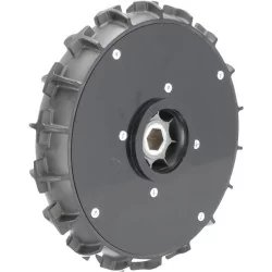 Roue dentée (pointe)