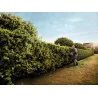 Taille-haies thermique HS 87 R 75 cm STIHL