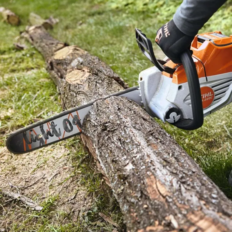 Tronçonneuse STIHL MSA 220 C-B Batterie AP 200 S + AL 301