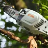 Perche d’élagage STIHL HTA 86 Batterie AP 20 + Chargeur AL 101