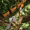 Perche élagage HTA 30 STIHL