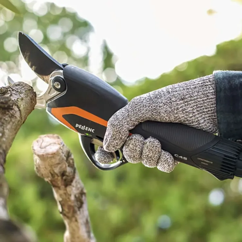 Sécateur C45 et batterie 250 PELLENC