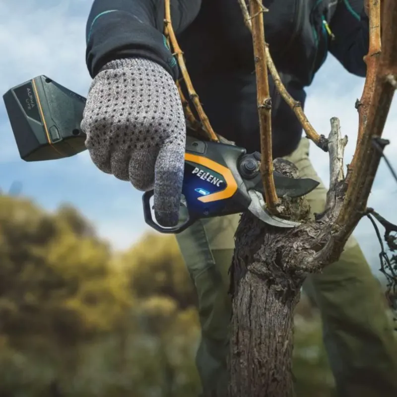 Sécateur C3X et batteries PELLENC