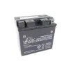 Batterie tondeuse autoportée Mc Culloch 12V - 6Ah