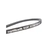 Courroie traction tondeuse Bernard Loisirs BL5548XT, BL5548XTE