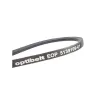 Courroie traction tondeuse Bernard Loisirs BL5548XT, BL5548XTE