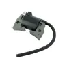 Bobine allumage tondeuse moteur Honda