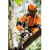 Tronçonneuse à batterie MSA 161 T - R30CM - 71PM3 STIHL
