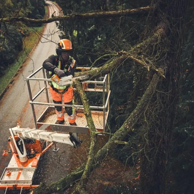 Tronçonneuse à batterie MSA 190 T - STIHL-en situation