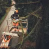 Tronçonneuse à batterie MSA 190 T - STIHL-en situation