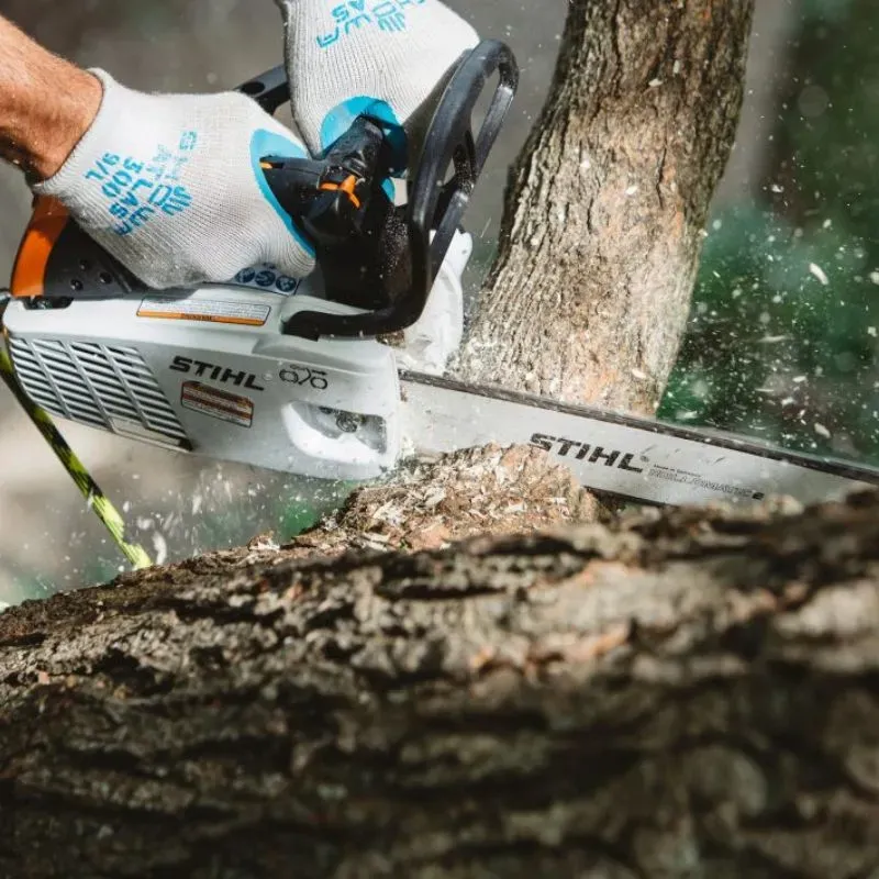 Tronçonneuse thermique MS 194 T Guide Rollo E 30 cm STIHL-en situation