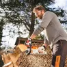 Tronçonneuse MSA 70 C-B 30 cm - STIHL-en situation