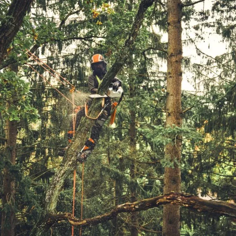 Tronçonneuse à batterie MSA 220 TC-O - STIHL-en situation