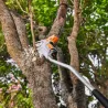 Rallonge pour scie à main GTA 26 - STIHL-EN SITUATION