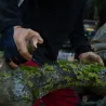 Gants de jardin SOLIDUR-en situation