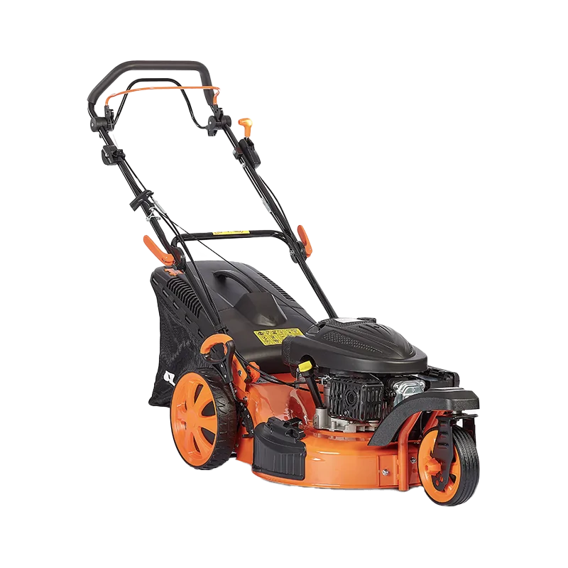 Tondeuse thermique CC351T3 ANOVA