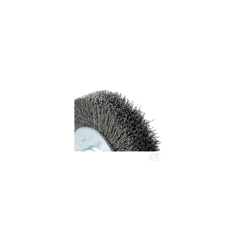 Brosse métallique ronde 50 mm