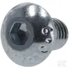 Vis à tête bombée M5x8