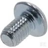 Vis à tête bombée M5x8