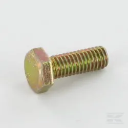 Vis