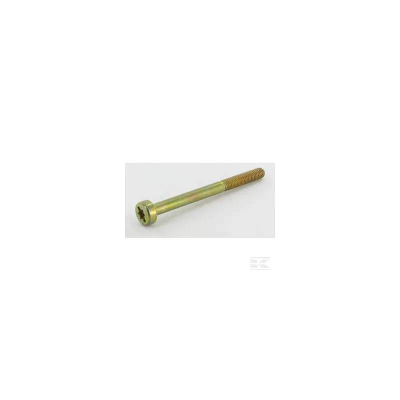 Vis Torx 5x60