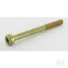 Vis Torx 5x60