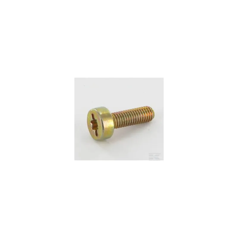 Vis Torx 5x16