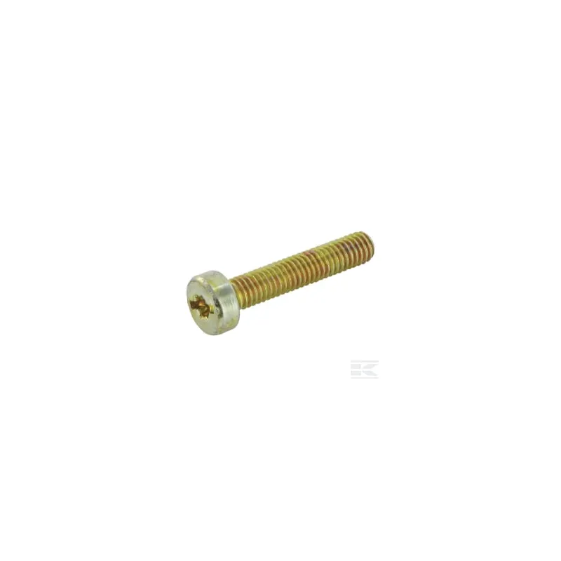 Vis Torx M6X30KXRI.T25