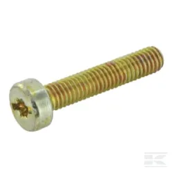 Vis Torx M6X30KXRI.T25