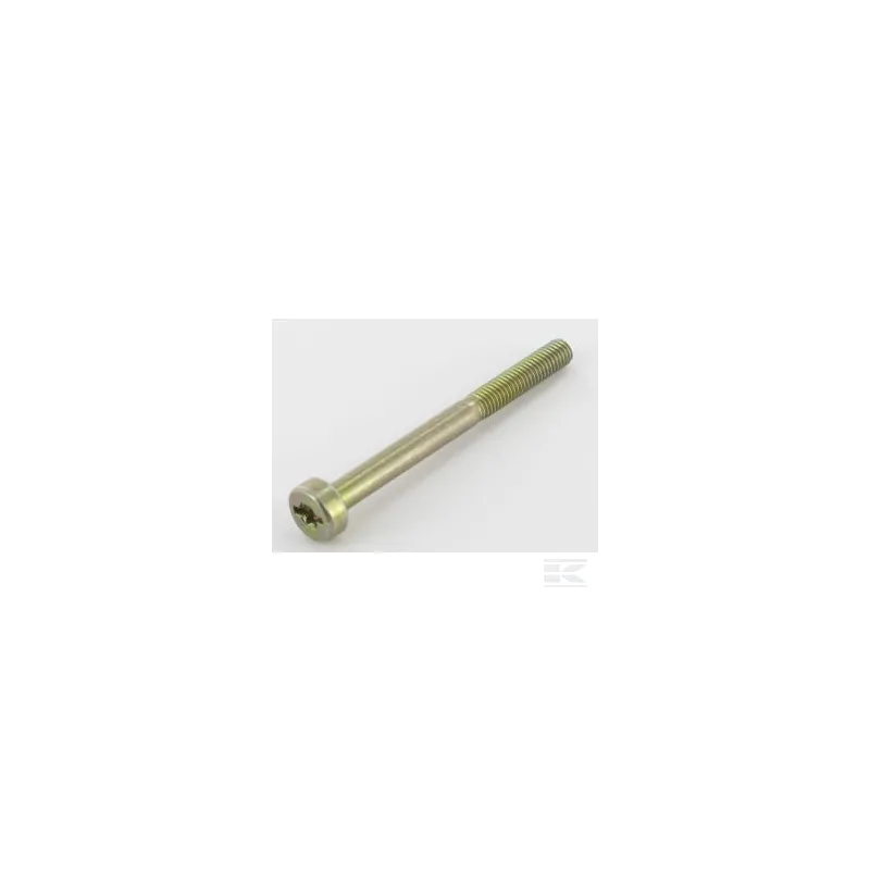 Vis Torx M5x55