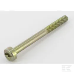 Vis Torx M5x55