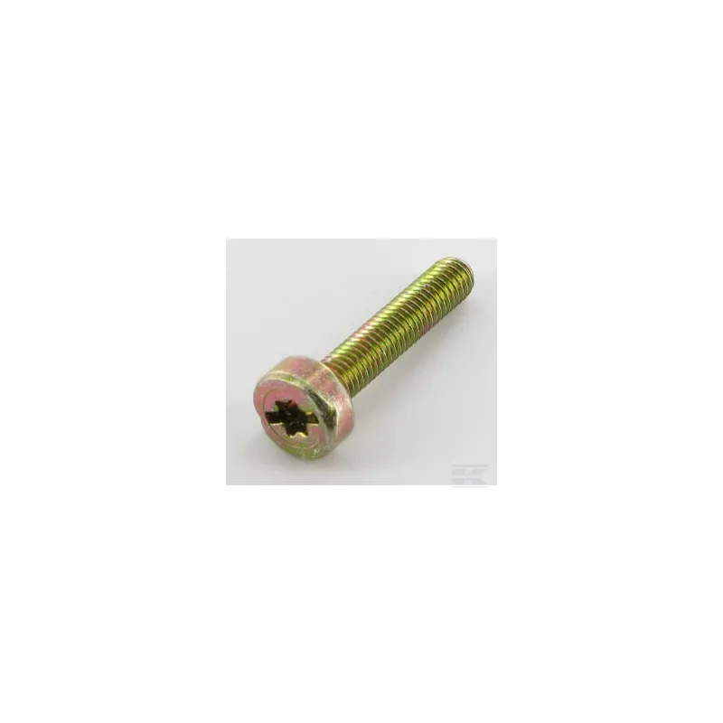 Vis Torx5x25