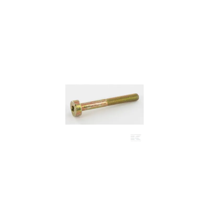Vis M5x40