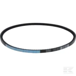 Piège à ceinture