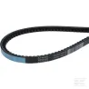 Piège à ceinture