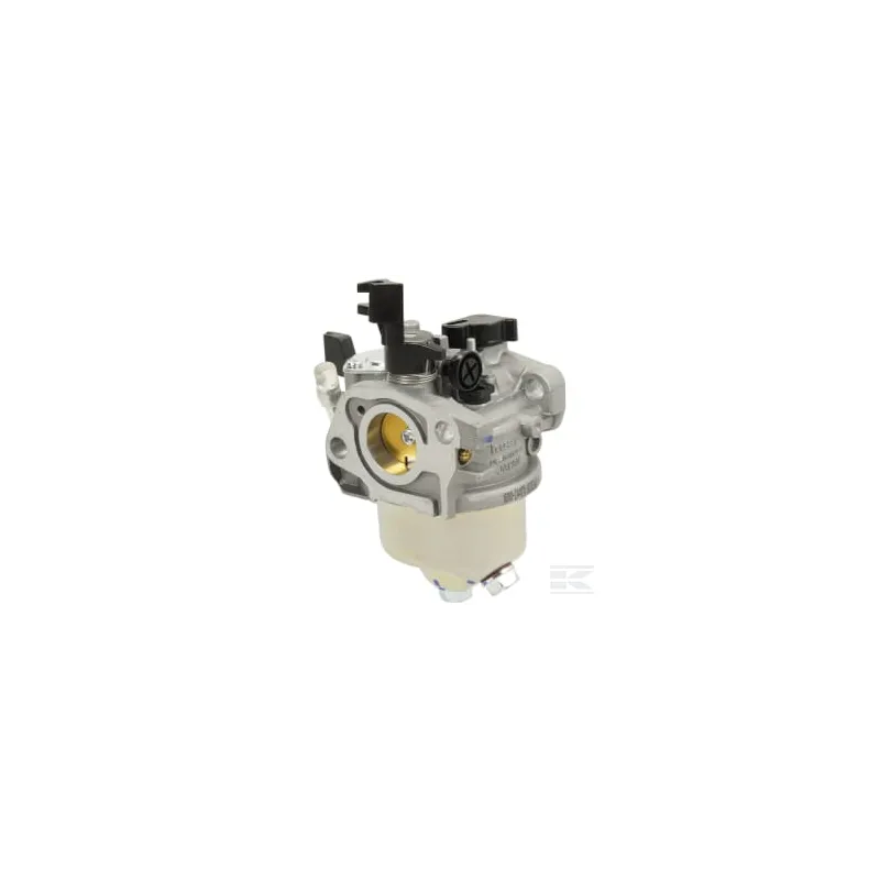 Carburateur D19