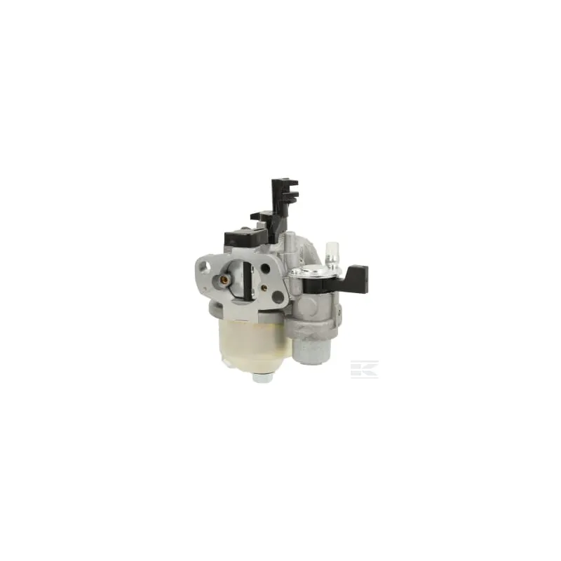 Carburateur D19