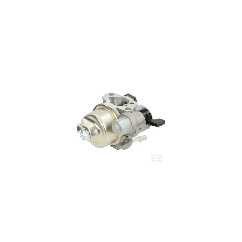 Carburateur D19