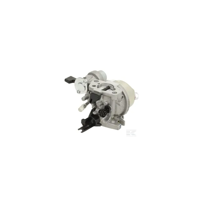 Carburateur D19