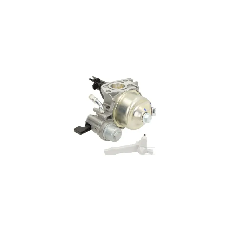 Carburateur D19