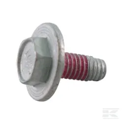 Vis